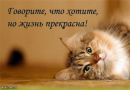 Аліна Муль фотография #46 (источник - https://vk.com/id162277337)