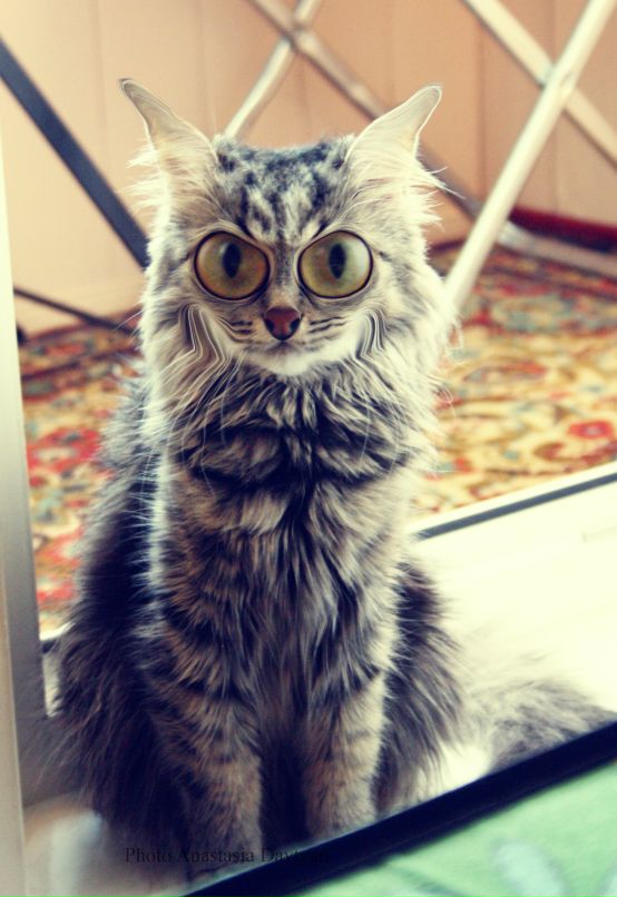 Игорь Чаленко фотография #27