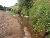 Фотография Наруск Виктории