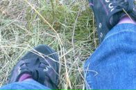 Фотография Пышатовой Светланы