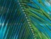 Марія Павлишин фотография #42 (источник - https://vk.com/id66793362)