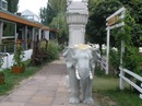 Галина Старомінська фотография #2 (источник - https://vk.com/id151305507)