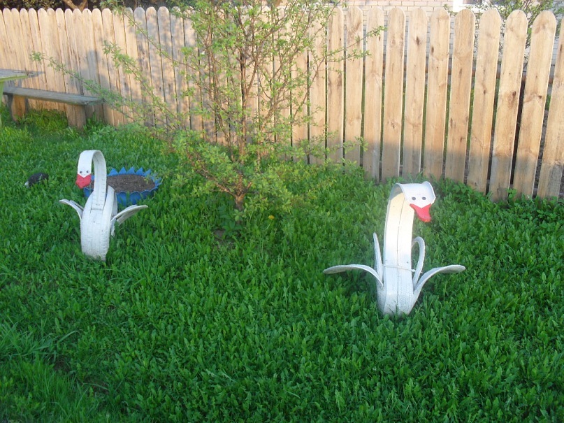 Николай Тарусин фотография #42