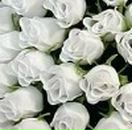 Галя Зінчук фотография #23 (источник - https://vk.com/id66067971)