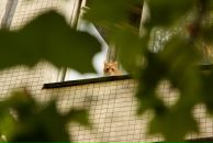 Фотография Меженина Сергея