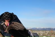 Фотография Мартьянова Сергея