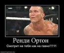 Міша Розумний фотография #33 (источник - https://vk.com/id162477629)
