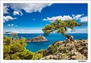 Фотография Мельниковой Ольги