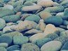 Вікуля Боденко фотография #23 (источник - https://vk.com/id160642438)