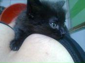 Фотография Чукиной Татьяны