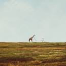 Фотография Мазуркевич Евгении