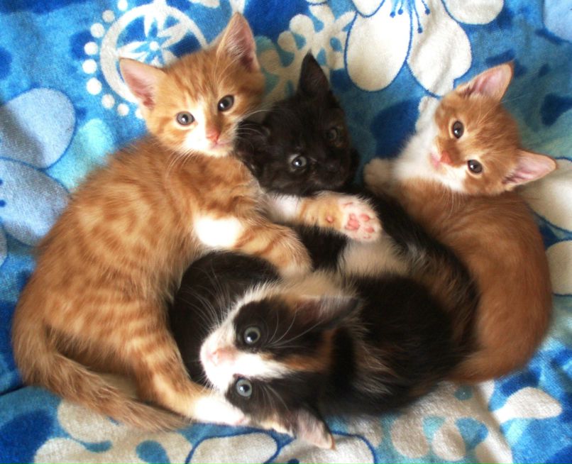 Еля Матвийчук фотография #5