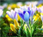 Ірина Борзишена фотография #18 (источник - https://vk.com/id89272446)