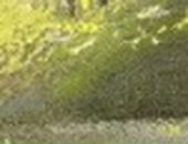 Валерий Караваев фотография #33 (источник - https://vk.com/id4304101)