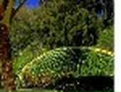 Лера Лоц фотография #19 (источник - https://vk.com/id57504657)