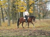 Фотография Николаевой Ольги