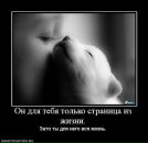 Соломія Царик фотография #37 (источник - https://vk.com/id16160013)
