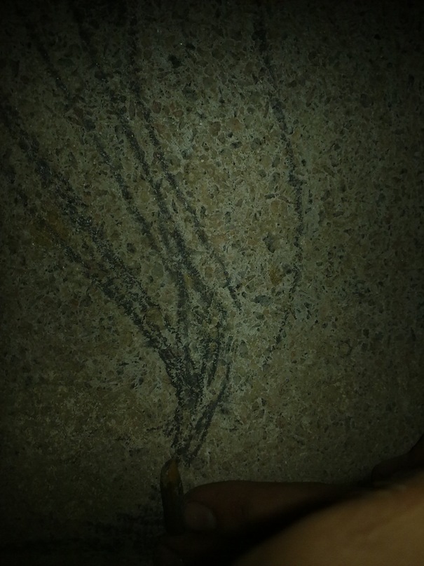 Данил Ушаков фотография #17