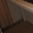 Иван Лісовий фотография #15 (источник - https://vk.com/id83533861)