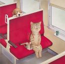 Gracheva Nadezhda фотография #9 (источник - https://vk.com/id1472947)