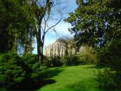 Софія Абрамова фотография #15 (источник - https://vk.com/id63232972)