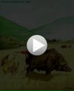 Ігор Федорчук фотография #33 (источник - https://vk.com/id150659396)
