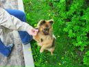 Фотография Дементьевой-Исаченко Анастасии