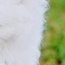 Вєталь Серйозний фотография #46 (источник - https://vk.com/id136859700)