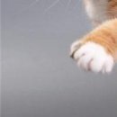 Вєталь Серйозний фотография #30 (источник - https://vk.com/id136859700)