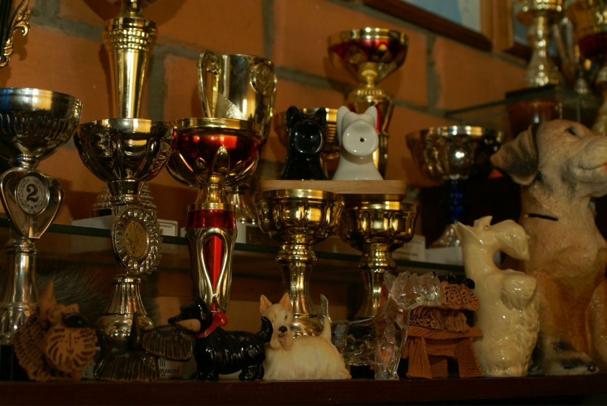 Anton Kasimov фотография #21