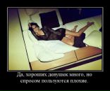 Дмитрий Шанин фотография #45 (источник - https://vk.com/id578933)