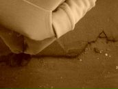 Фотография Ситар Светы