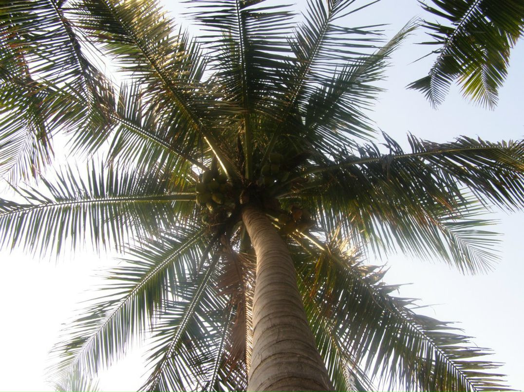 Фаниль Раджан фотография #43