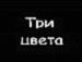 Юля Боткіна фотография #4 (источник - https://vk.com/id137812175)