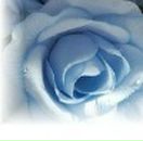 Анастасія Гудзак фотография #28 (источник - https://vk.com/id98965948)