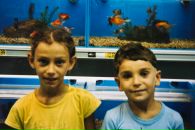 Дима Дима фотография #15 (источник - https://vk.com/id1575605)