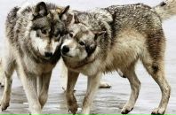 Фотография Александровой Татьяны