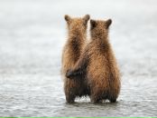 Фотография Медведкиной Натальи