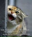 Фотография Вольф Евгении