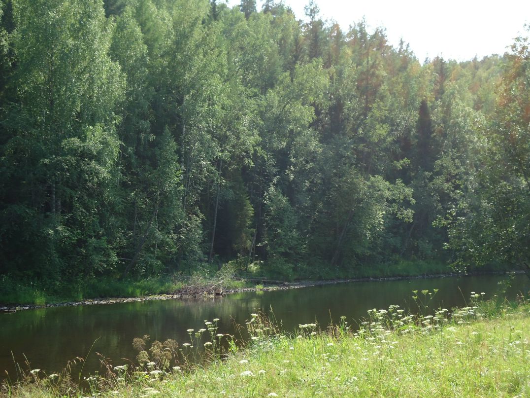 Максим Доля фотография #21