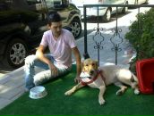 Enis Başaran фотография #12 (источник - https://vk.com/id167882187)