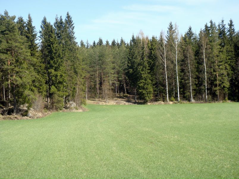 Иван Амельченко фото №40