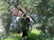 Фотография Алвес Ольги