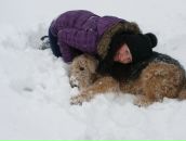 Фотография Гринчук Галины