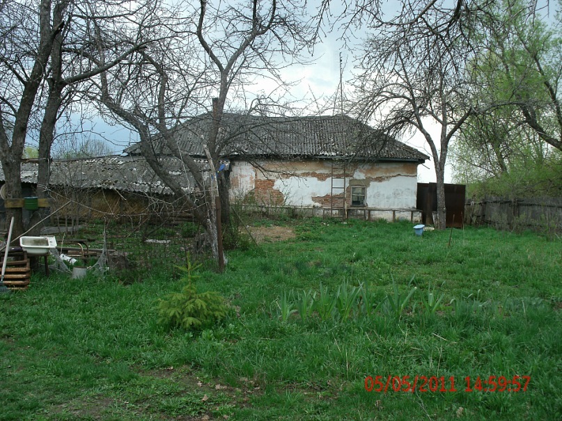 Вера Степанова фотография #4
