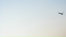 Фотография Храпова Игоря