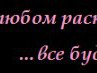 Міша Шеф фотография #26 (источник - https://vk.com/id150120185)