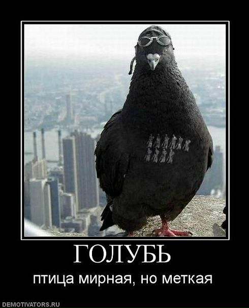 Александр Пенчук фото №48