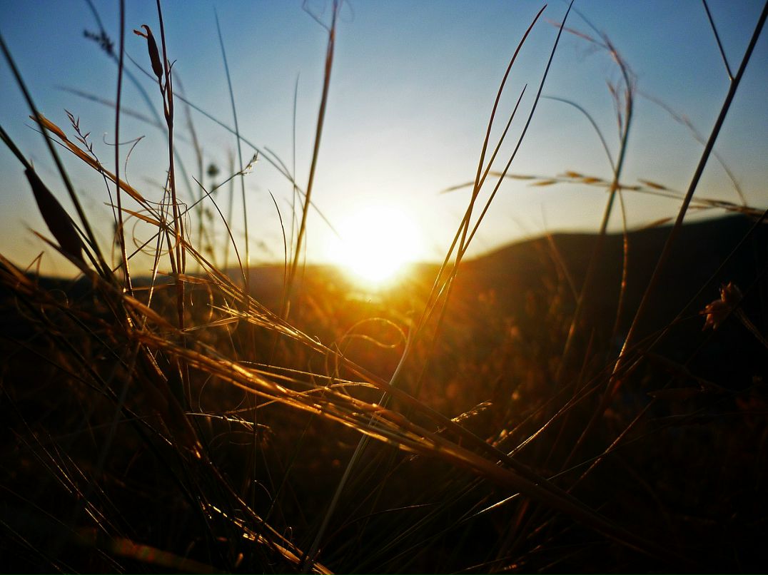 Андрей Астапенко фотография #35