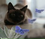 Наташка Кушнір фотография #38 (источник - https://vk.com/id79251626)